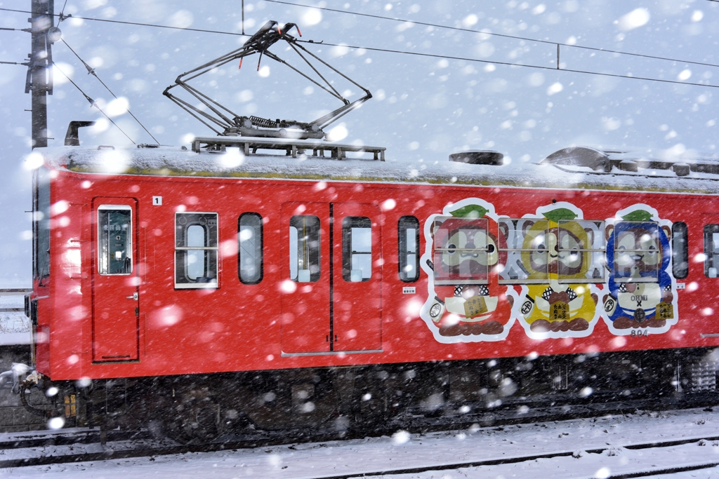 狸のラッピング電車