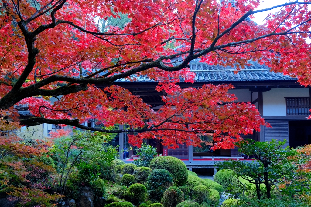紅.2
