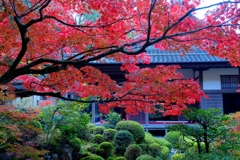紅.2