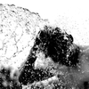 水浴び（蔵出し）