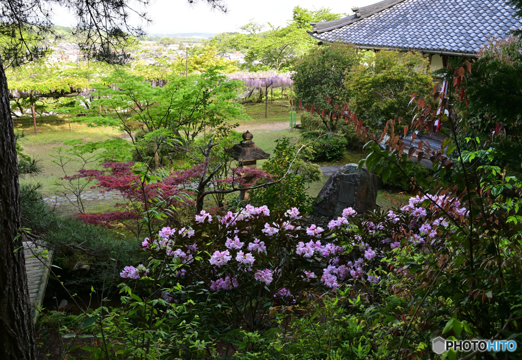 春は賑やか