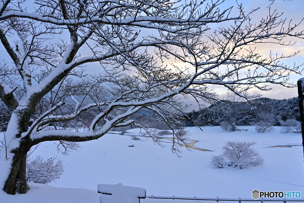 雪の朝