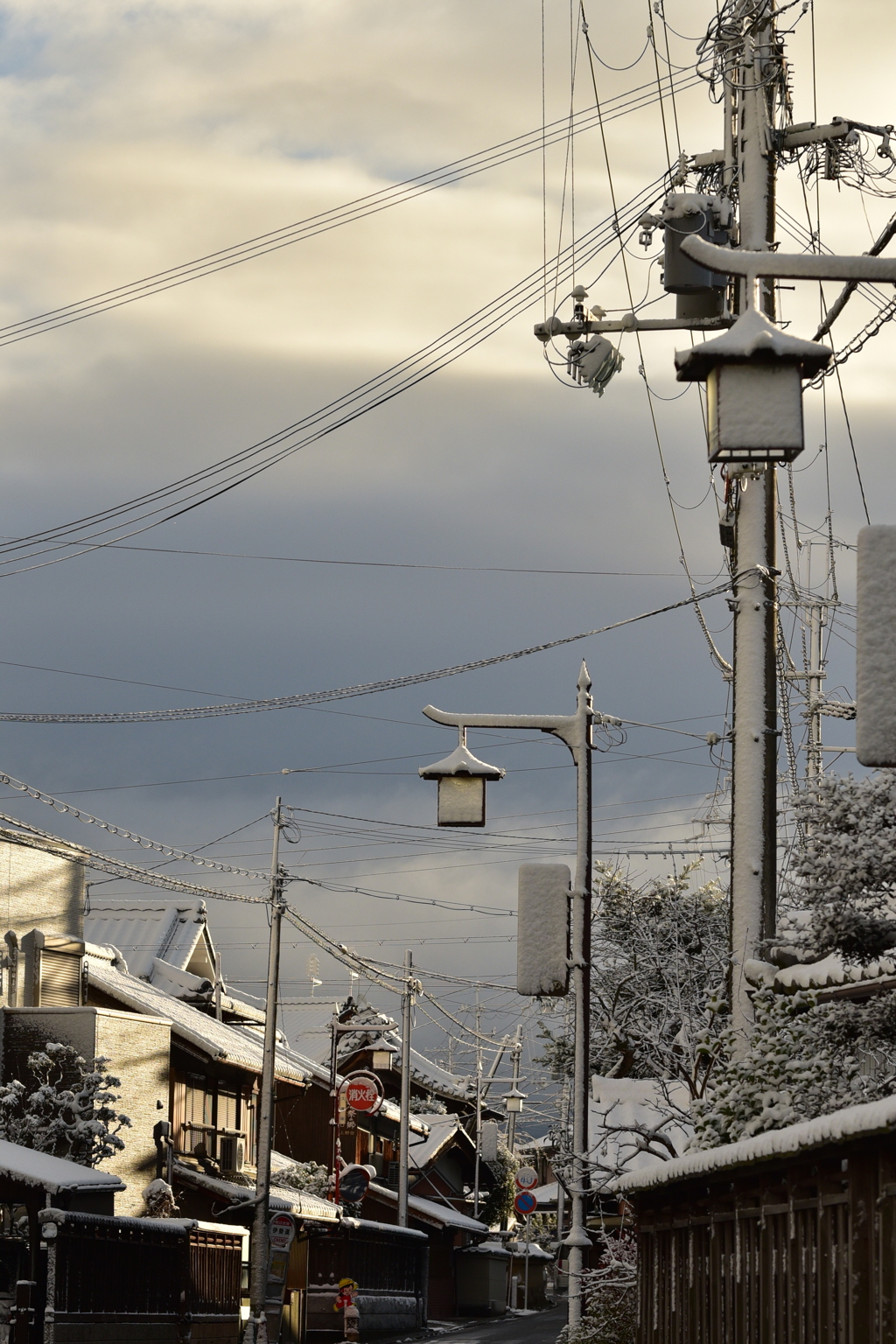 雪の朝