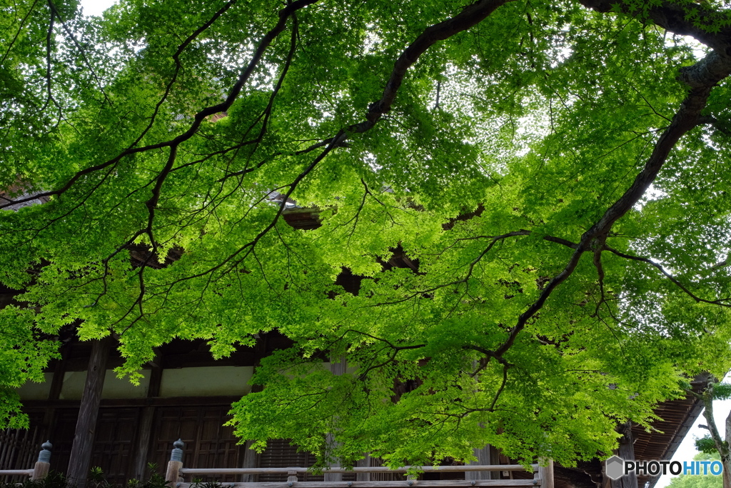 寺院