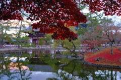 晩秋の奈良公園.2