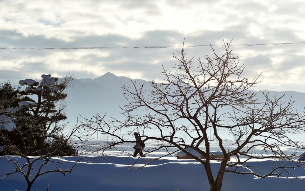 雪景色