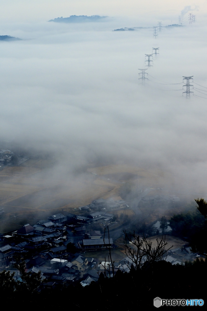 朝霧