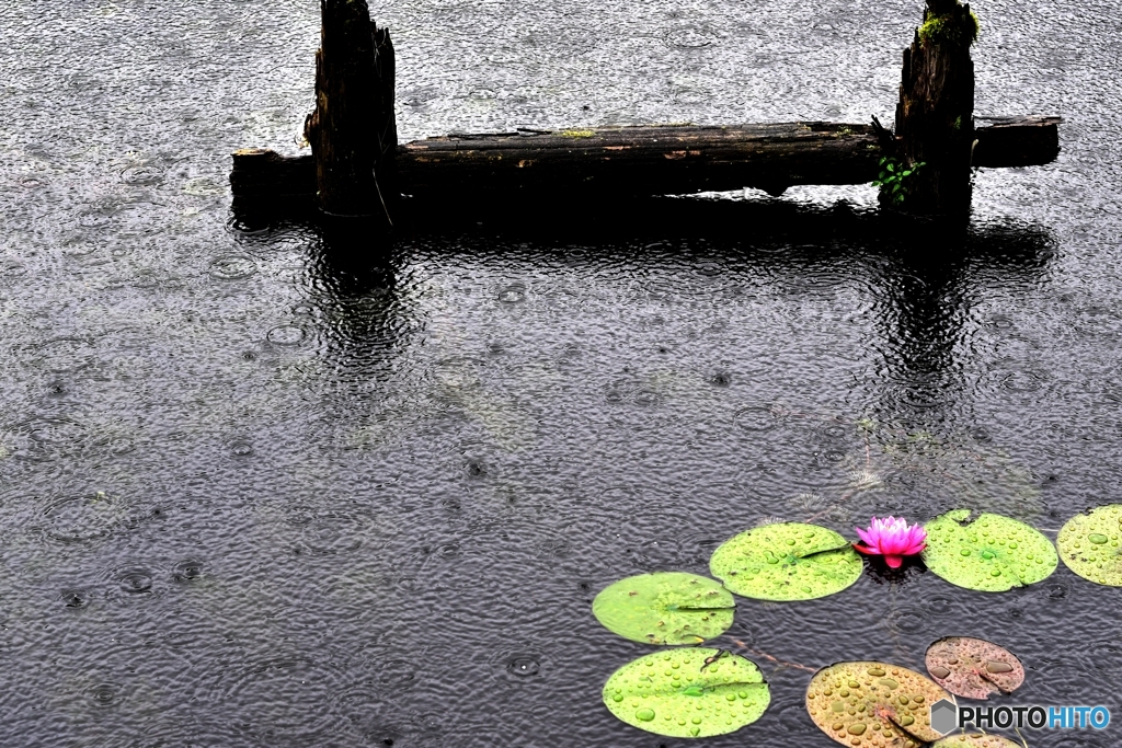 梅雨