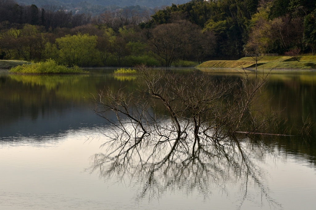 今朝のダム湖.2