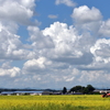 夏空