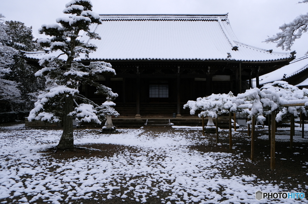 雪化粧