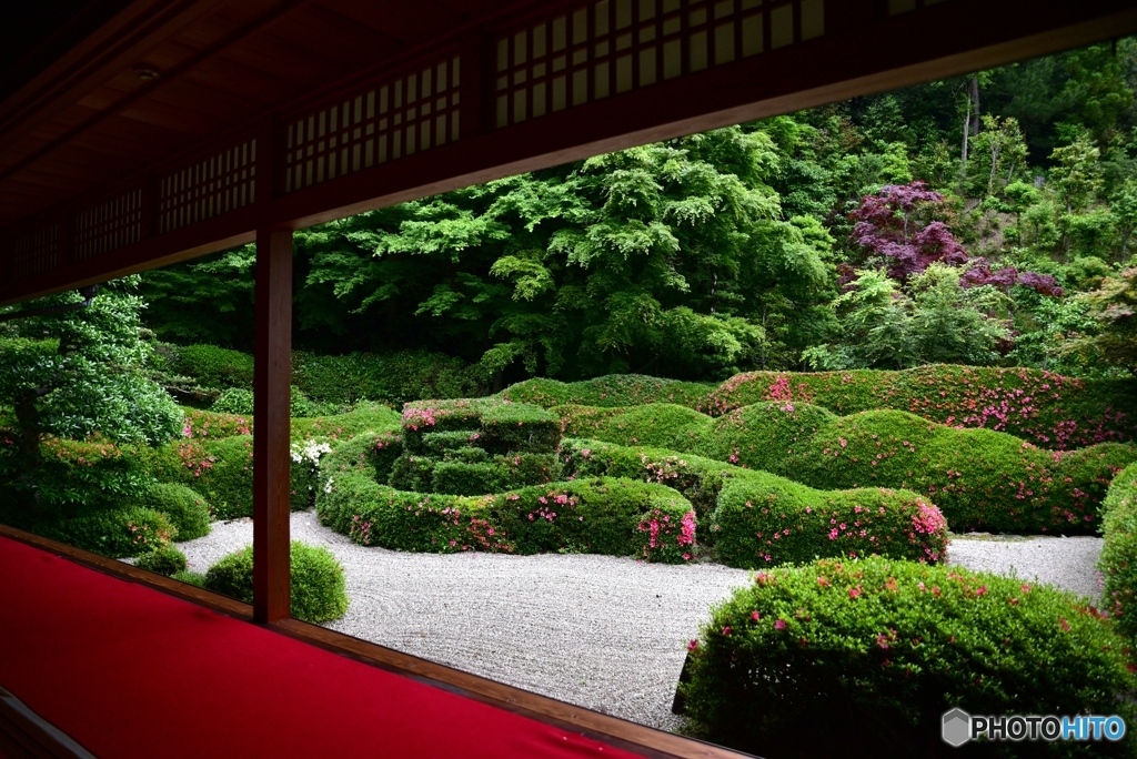 雨の庭園