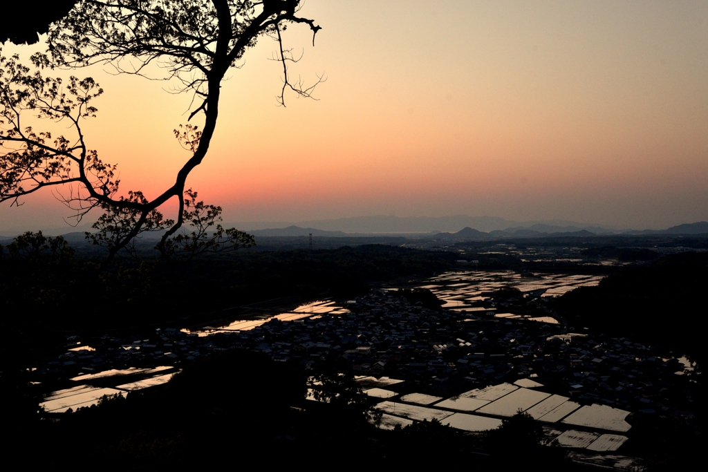 夕暮れ時