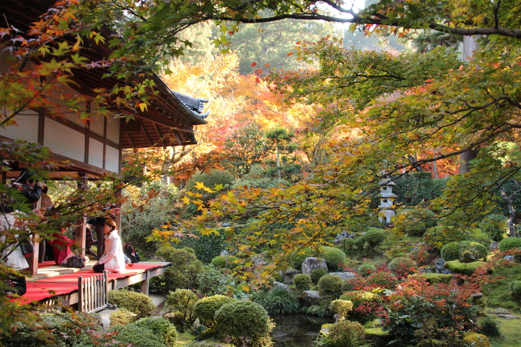 三千院 聚碧園