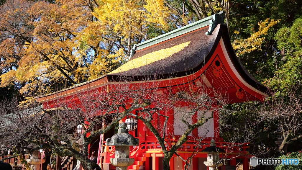 紅葉４