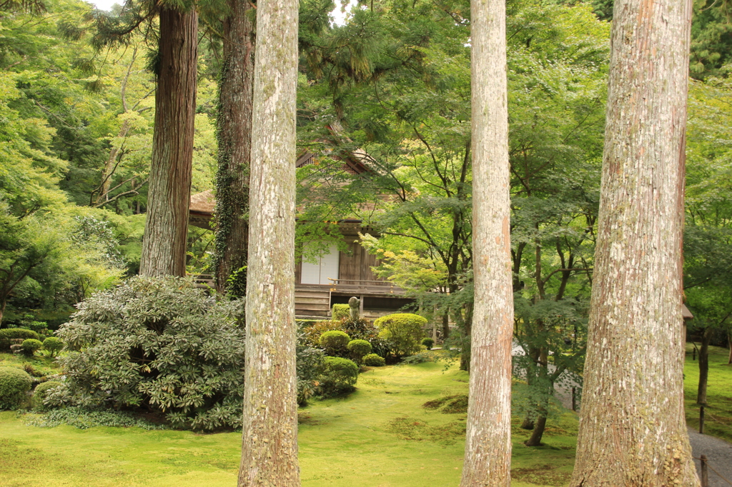 三千院 往生極楽院