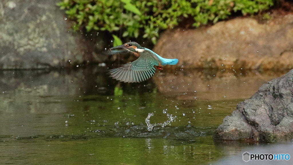 飛び込み連射　6/8