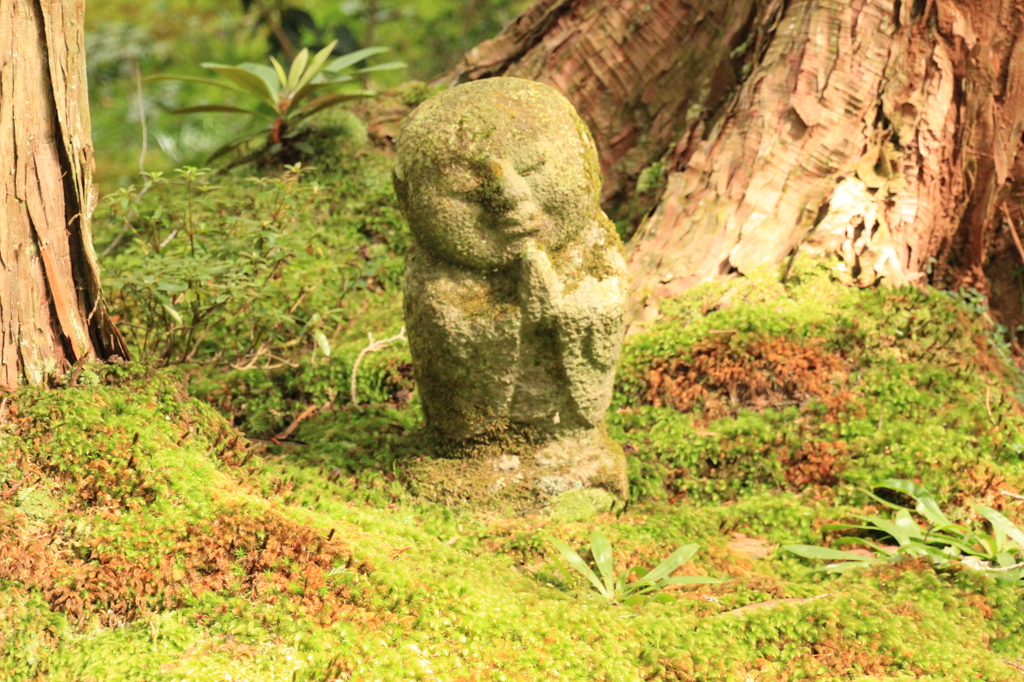 三千院 わらべ地蔵