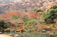 天龍寺庭園の秋