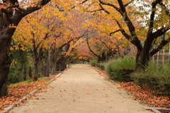 猪名川運動公園(2)