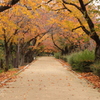 猪名川運動公園(2)