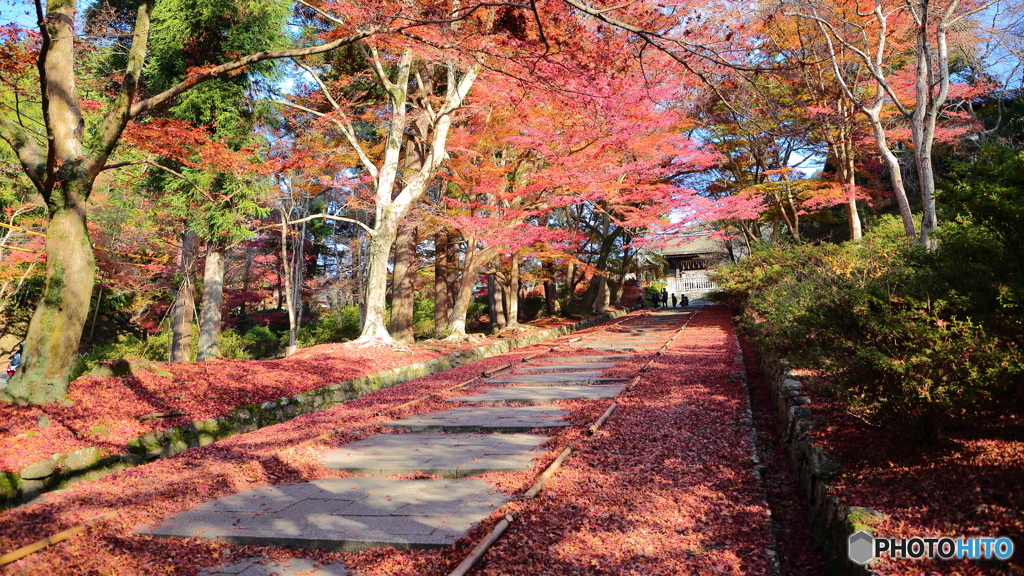 毘沙門堂門跡１