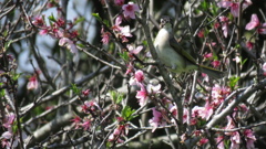 カメラマンが沢山居るな～