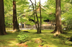 三千院 往生極楽院 わらべ地蔵
