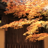 唐招提寺の秋 6