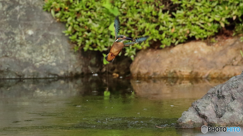 飛び込み連射　8/8