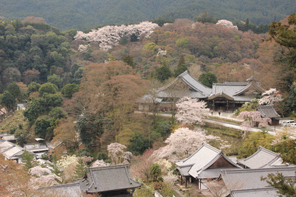 本堂前の舞台から伽藍を見下ろすの図