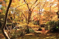 嵐山紅葉７