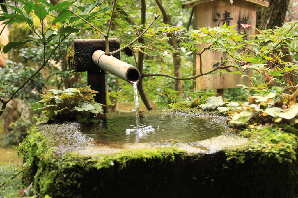三千院　聚碧園