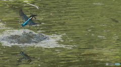 あーあ（腹減った）