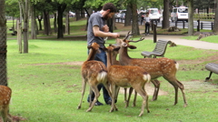 外国人に餌をねだる鹿