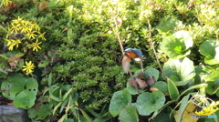 お尻を向けてすみません。