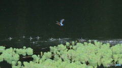 飛び出し３