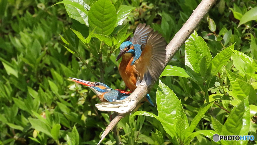 仲良くしましょ２