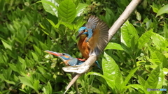 仲良くしましょ２