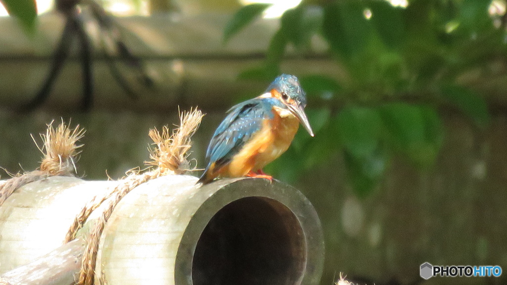屋根から狙う２