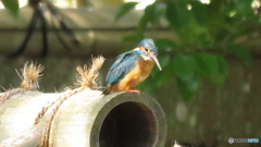 屋根から狙う２