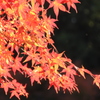 東福寺1