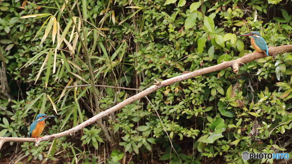 この微妙な距離感