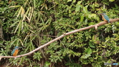 この微妙な距離感