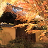 唐招提寺の秋 7