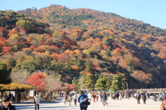 嵐山紅葉１