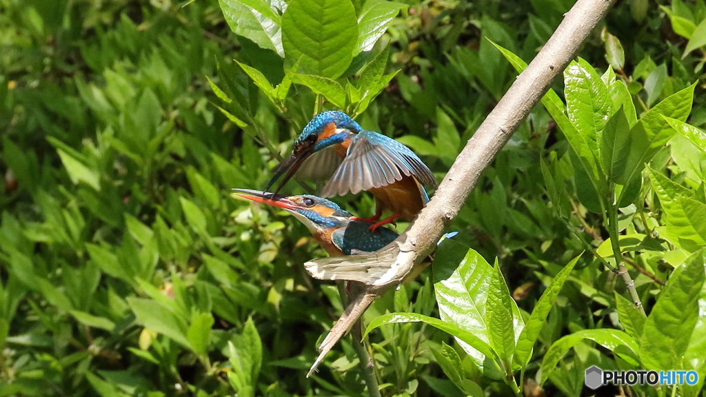 仲良くしましょ１