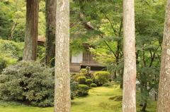 三千院 往生極楽院