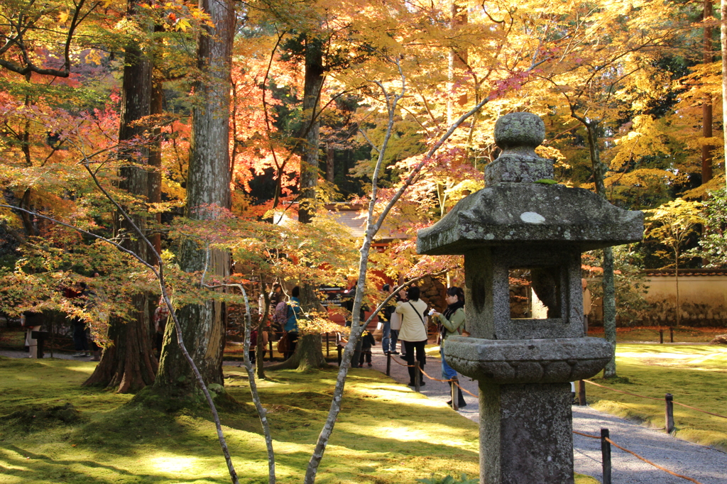 往生極楽院の紅葉