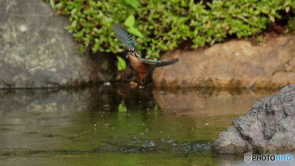 飛び込み連射　7/8